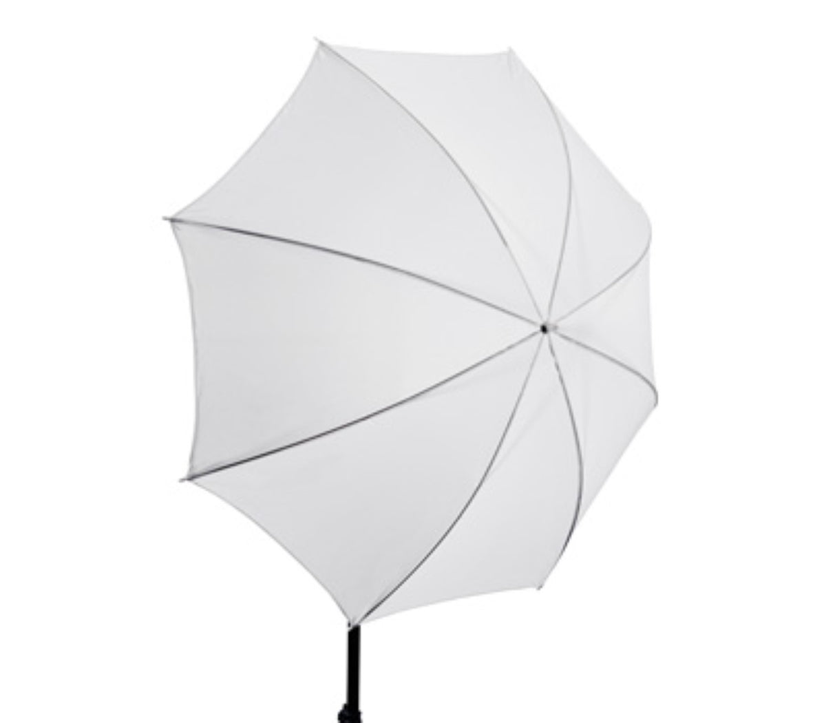 Studio-Durchlichtschirm 101cm 40" - innen & aussen weiß