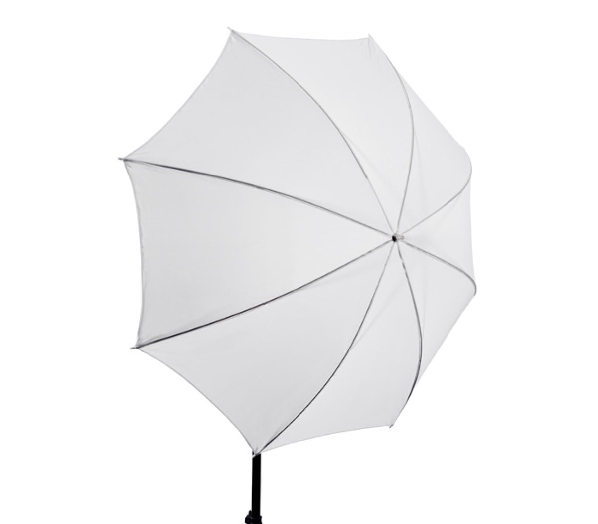 Studio-Durchlichtschirm 84 cm 33" - innen & außen weiß